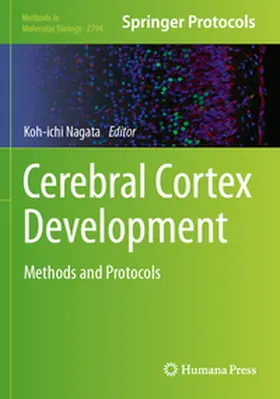 Nagata | Cerebral Cortex Development | Buch | 978-1-0716-3812-5 | www2.sack.de