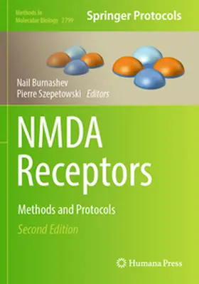 Szepetowski / Burnashev |  NMDA Receptors | Buch |  Sack Fachmedien