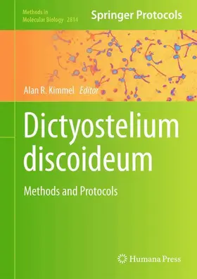 Kimmel | Dictyostelium discoideum | Buch | 978-1-0716-3893-4 | www2.sack.de