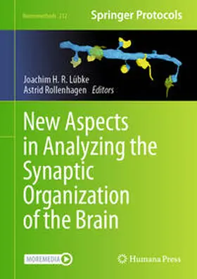Lübke / Rollenhagen |  New Aspects in Analyzing the Synaptic Organization of the Brain | eBook | Sack Fachmedien