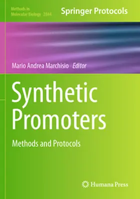 Marchisio |  Synthetic Promoters | Buch |  Sack Fachmedien