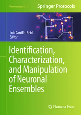 Carrillo-Reid |  Identification, Characterization, and Manipulation of Neuronal Ensembles | eBook | Sack Fachmedien