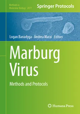 Banadyga / Marzi |  Marburg Virus | eBook | Sack Fachmedien