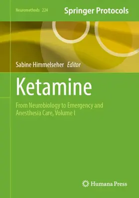 Himmelseher | Ketamine | Buch | 978-1-0716-4602-1 | www2.sack.de