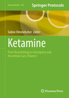 Himmelseher |  Ketamine | eBook | Sack Fachmedien