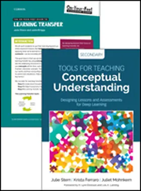Stern / Lauriault / Ferraro |  BUNDLE: Stern: Tools for Teaching Conceptual Understanding, Secondary + Stern: On-Your-Feet Guide to Learning Transfer | Sonstiges |  Sack Fachmedien