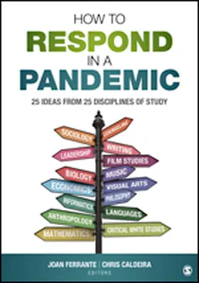 Ferrante / Caldeira |  How to Respond in a Pandemic | Buch |  Sack Fachmedien