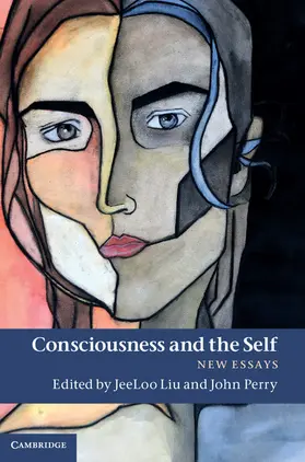 Liu / Perry | Consciousness and the Self | Buch | 978-1-107-00075-9 | sack.de