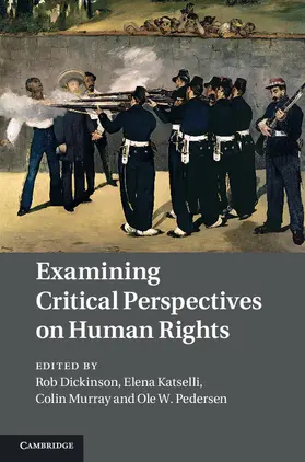 Dickinson / Katselli / Murray |  Examining Critical Perspectives on Human Rights | Buch |  Sack Fachmedien