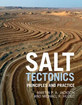 Jackson / Hudec | Salt Tectonics | Buch | 978-1-107-01331-5 | sack.de