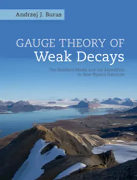 Buras |  Gauge Theory of Weak Decays | Buch |  Sack Fachmedien