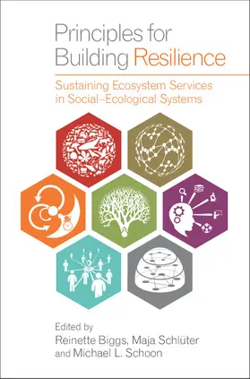 Biggs / Schlüter / Schoon |  Principles for Building Resilience | Buch |  Sack Fachmedien