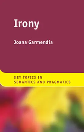 Garmendia |  Irony | Buch |  Sack Fachmedien