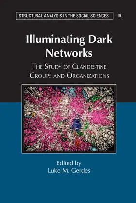 Gerdes |  Illuminating Dark Networks | Buch |  Sack Fachmedien