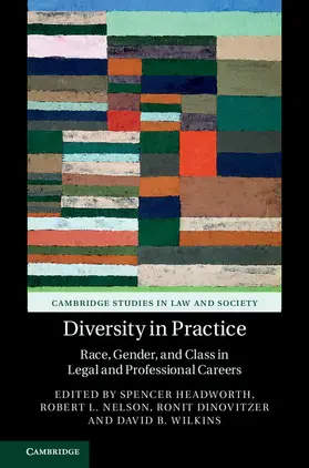 Headworth / Nelson / Dinovitzer |  Diversity in Practice | Buch |  Sack Fachmedien