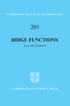 Pinkus |  Ridge Functions | Buch |  Sack Fachmedien