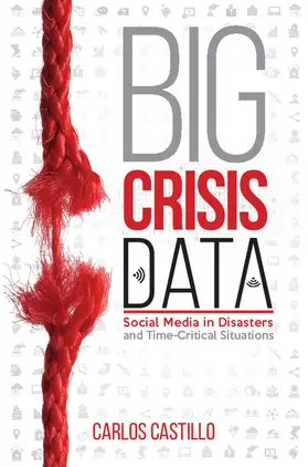 Castillo |  Big Crisis Data | Buch |  Sack Fachmedien