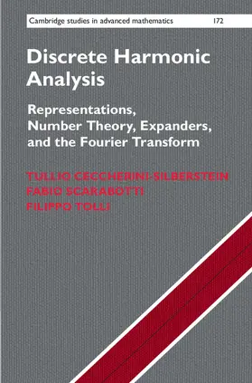 Ceccherini-Silberstein / Scarabotti / Tolli |  Discrete Harmonic Analysis | Buch |  Sack Fachmedien