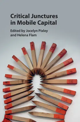 Pixley / Flam |  Critical Junctures in Mobile Capital | Buch |  Sack Fachmedien