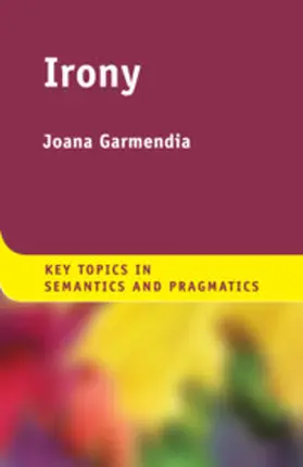 Garmendia |  Irony | Buch |  Sack Fachmedien