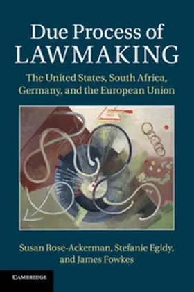 Rose-Ackerman / Egidy / Fowkes |  Due Process of Lawmaking | Buch |  Sack Fachmedien