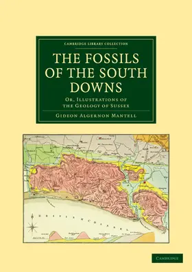 Mantell |  The Fossils of the South Downs | Buch |  Sack Fachmedien