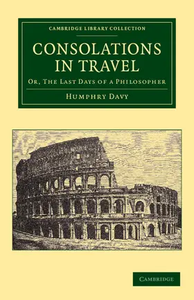 Davy |  Consolations in Travel | Buch |  Sack Fachmedien