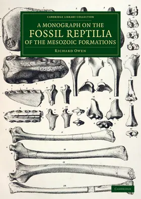Owen |  A Monograph on the Fossil Reptilia of the Mesozoic Formations | Buch |  Sack Fachmedien