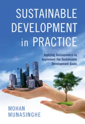 Munasinghe | Sustainability in the Twenty-First Century | Buch | 978-1-108-40415-0 | sack.de