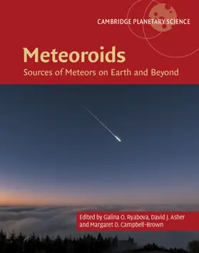 Ryabova / Asher / Campbell-Brown |  Meteoroids | Buch |  Sack Fachmedien