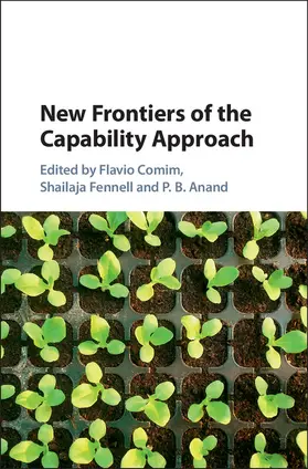 Comim / Fennell / Anand |  New Frontiers of the Capability Approach | Buch |  Sack Fachmedien