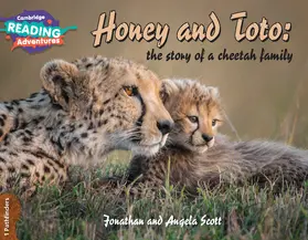 Scott |  Cambridge Reading Adventures Honey and Toto: The Story of a Cheetah Family 1 Pathfinders | Buch |  Sack Fachmedien