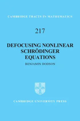 Dodson |  Defocusing Nonlinear Schrödinger Equations | Buch |  Sack Fachmedien