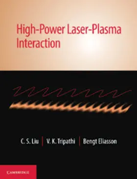 Liu / Tripathi / Eliasson |  High-Power Laser-Plasma Interaction | Buch |  Sack Fachmedien