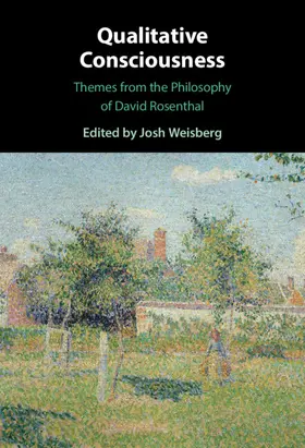 Weisberg |  Qualitative Consciousness | Buch |  Sack Fachmedien