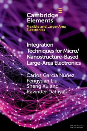 García Núñez / Liu / Xu |  Integration Techniques for Micro/Nanostructure-Based Large-Area Electronics | Buch |  Sack Fachmedien