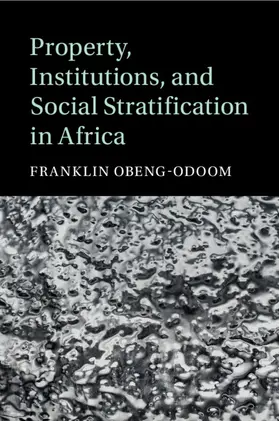Obeng-Odoom |  Property, Institutions, and Social Stratification in Africa | Buch |  Sack Fachmedien