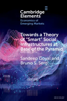 Goyal / Sergi |  Towards a Theory of 'Smart' Social Infrastructures at Base of the Pyramid | Buch |  Sack Fachmedien