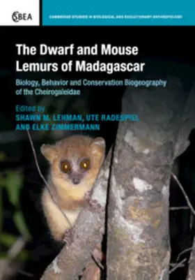 Lehman / Radespiel / Zimmermann | The Dwarf and Mouse Lemurs of Madagascar | Buch | 978-1-108-82885-7 | sack.de