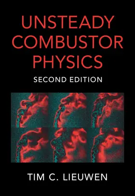 Lieuwen |  Unsteady Combustor Physics | Buch |  Sack Fachmedien