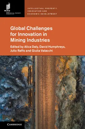 Daly / Humphreys / Raffo |  Global Challenges for Innovation in Mining Industries | Buch |  Sack Fachmedien