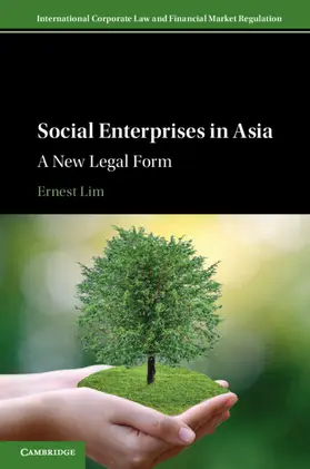 Lim |  Social Enterprises in Asia | Buch |  Sack Fachmedien