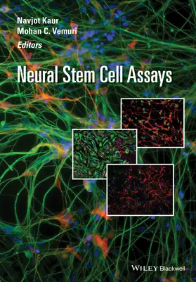 Kaur / Vemuri |  Neural Stem Cell Assays | Buch |  Sack Fachmedien