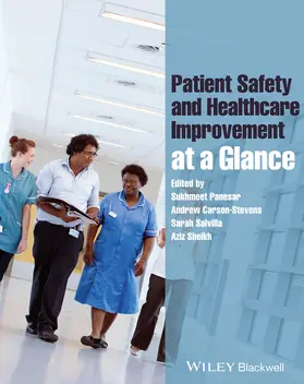 Carson-Stevens / Panesar / Sheikh | Patient Safety and Healthcare Improvement at a Glance | Buch | 978-1-118-36136-8 | sack.de