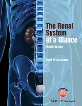 O'Callaghan |  The Renal System at a Glance | eBook | Sack Fachmedien