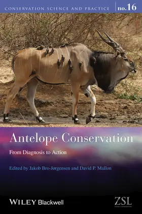 Bro-Jorgensen / Mallon | Antelope Conservation | Buch | 978-1-118-40963-3 | www2.sack.de