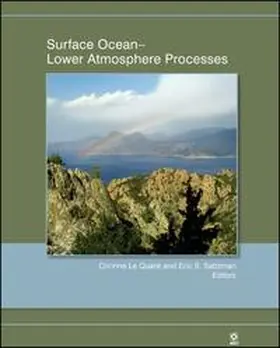 Le Quere / Saltzman |  Surface Ocean | eBook | Sack Fachmedien