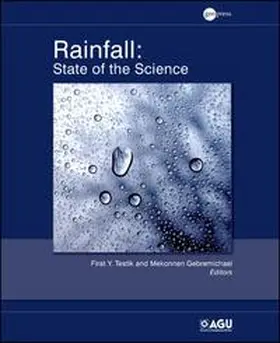 Testik / Gebremichael |  Rainfall | eBook | Sack Fachmedien