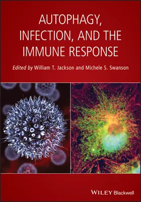 Jackson / Swanson |  Autophagy, Infection, and the Immune Response | Buch |  Sack Fachmedien