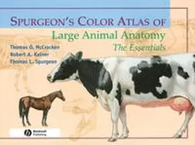 McCracken / Kainer / Spurgeon | Spurgeon's Color Atlas of Large Animal Anatomy | E-Book | sack.de